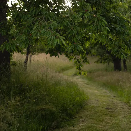 فندق مبيت وإفطار Schwollbachhof - Naturerlebnis Im Hunsrueck Schwollen