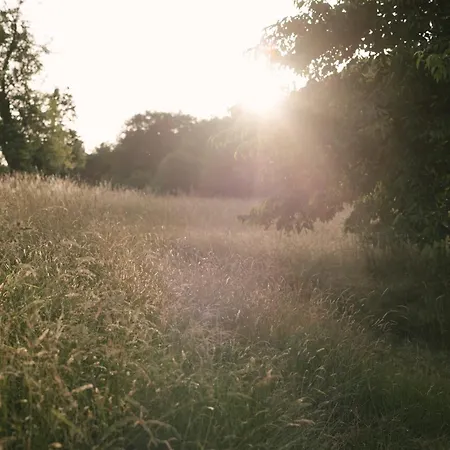 Schwollbachhof - Naturerlebnis Im Hunsrueck 住宿加早餐酒店