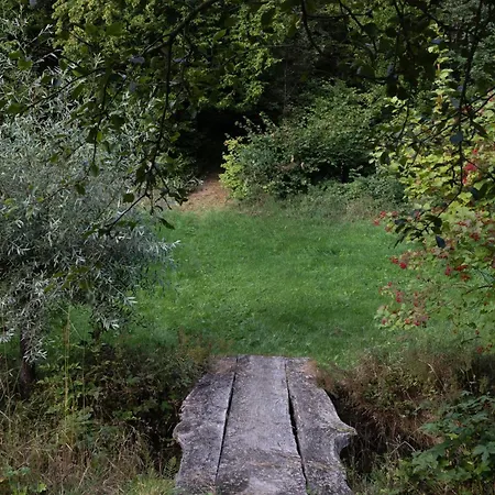 Schwollbachhof - Naturerlebnis Im Hunsrück Frühstückspension 3*