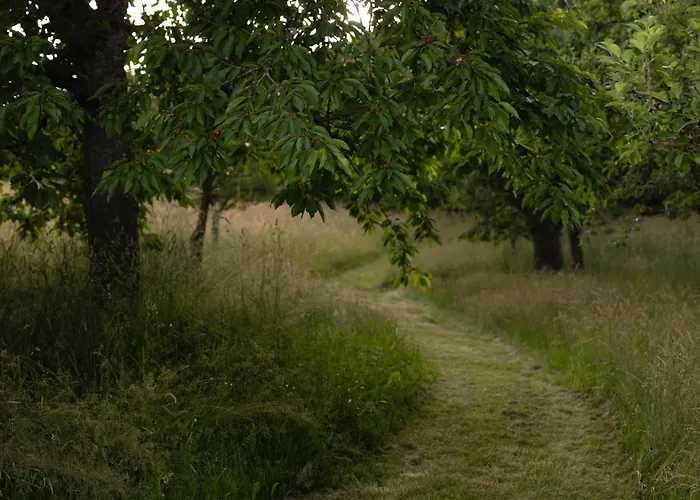住宿加早餐酒店 Schwollbachhof - Naturerlebnis Im Hunsrueck Schwollen