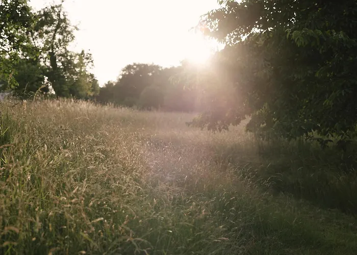Schwollbachhof - Naturerlebnis Im Hunsrueck 住宿加早餐酒店