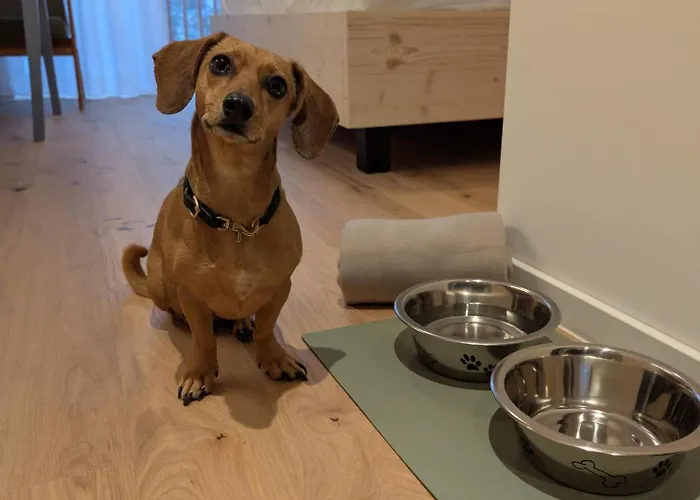 Schwollbachhof - Naturerlebnis Im Hunsrueck 3* Schwollen